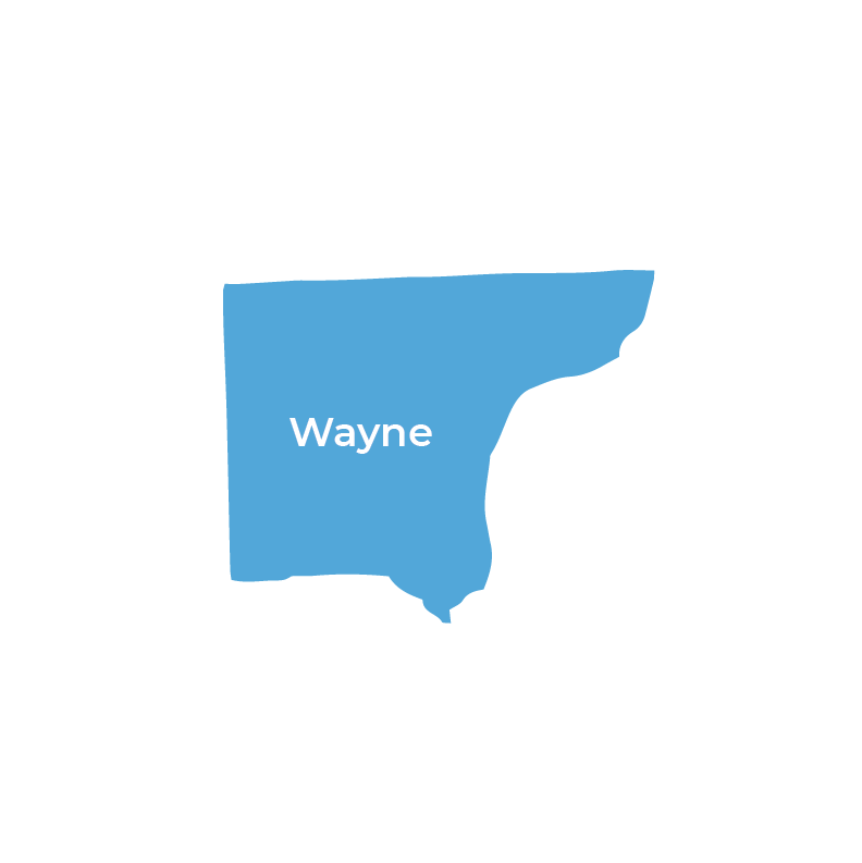 Wayne Region